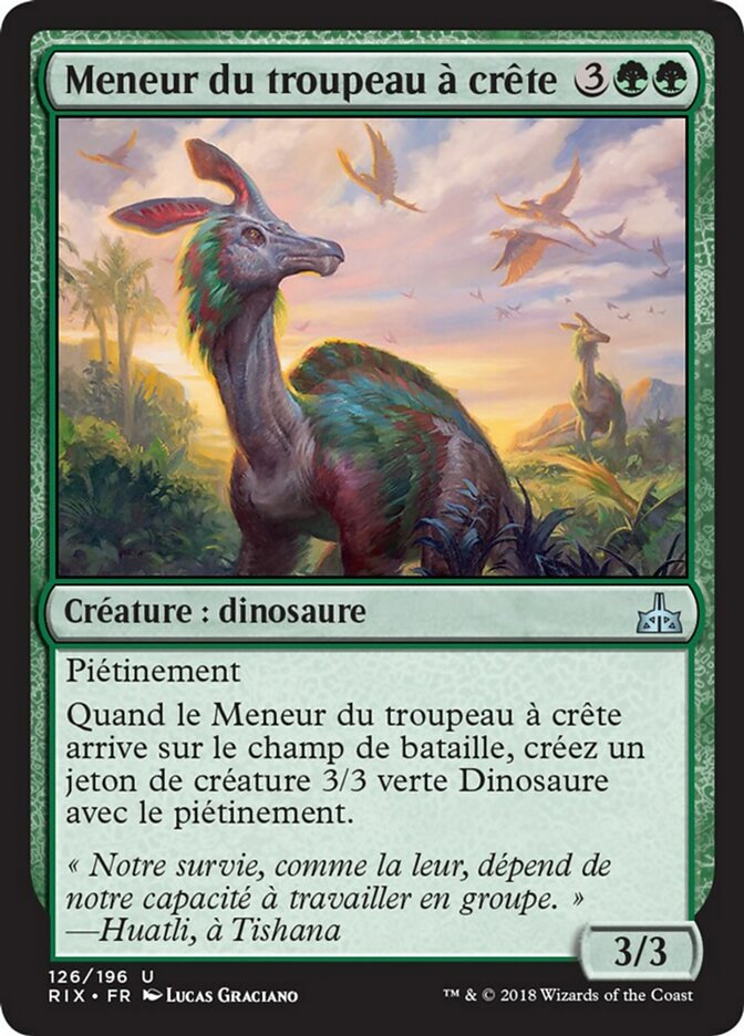 Meneur du troupeau à crête