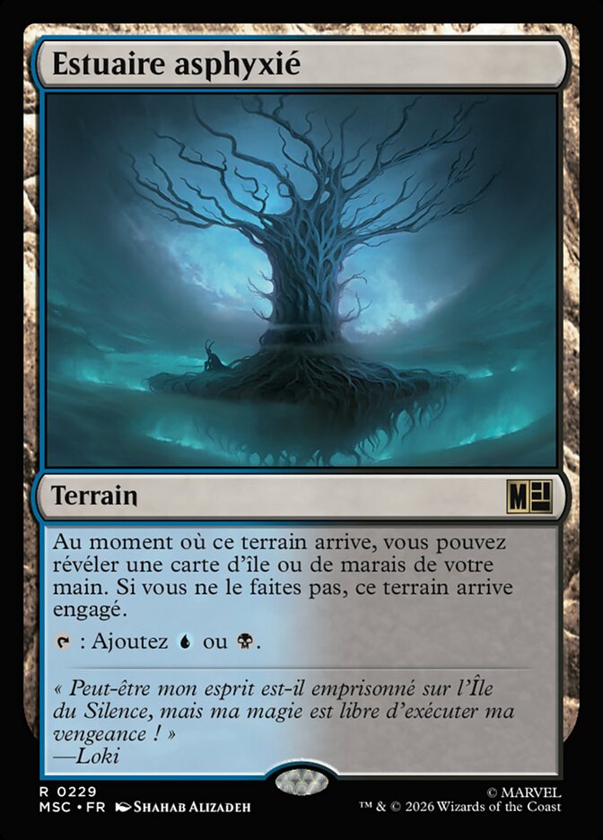 Estuaire asphyxié
