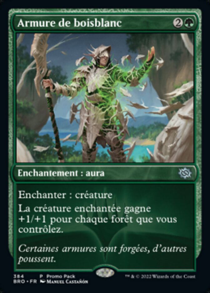 Armure de boisblanc