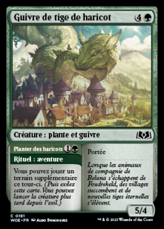 Guivre de tige de haricot