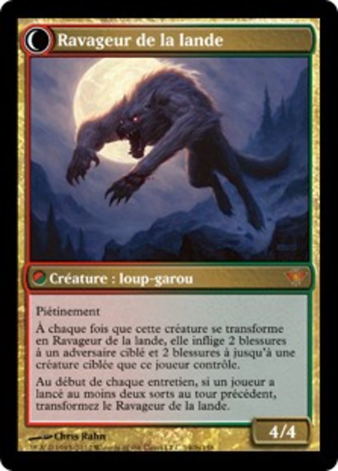 Maître-chasseur de la lande