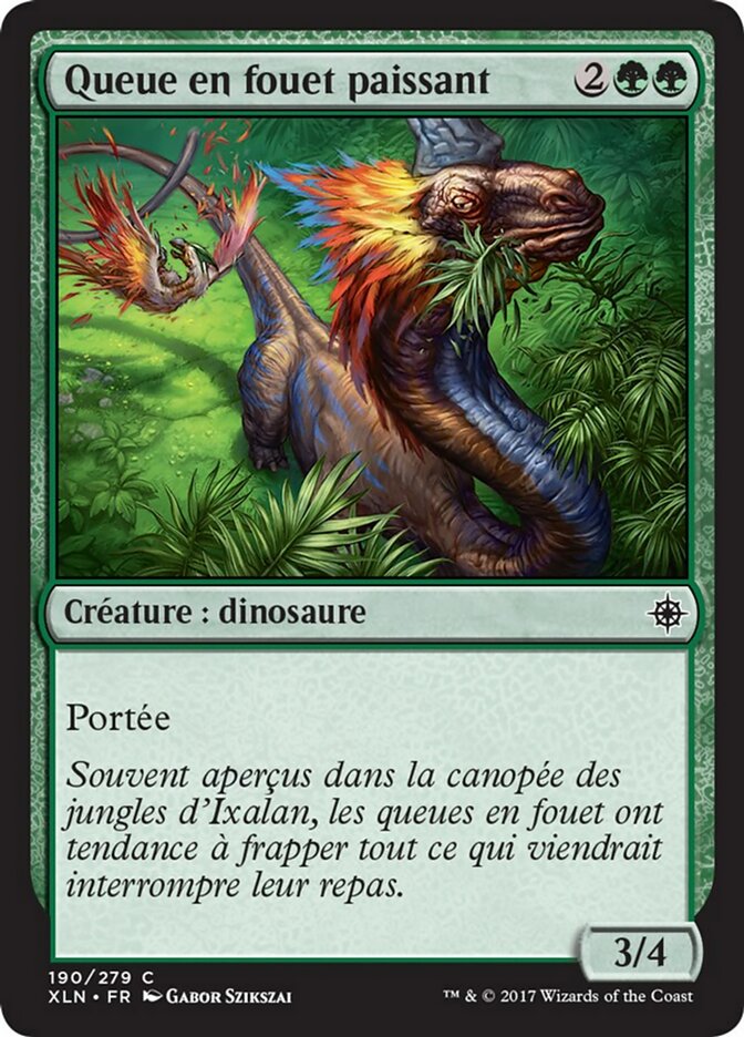 Queue en fouet paissant