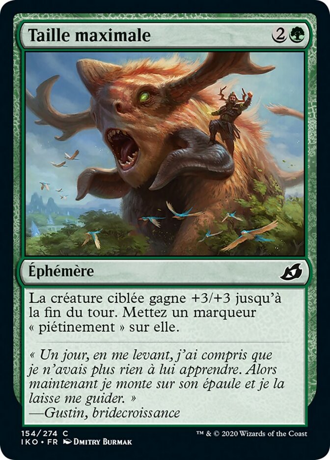Taille maximale