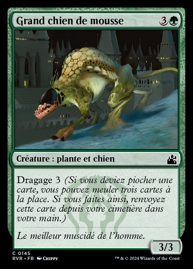 Grand chien de mousse