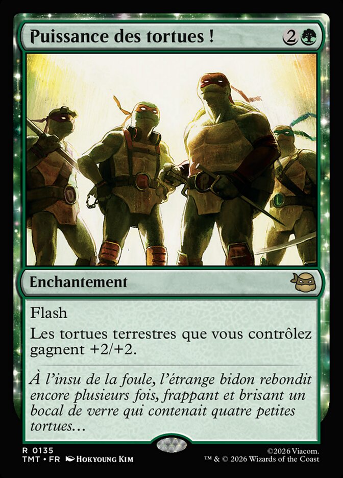 Puissance des tortues !