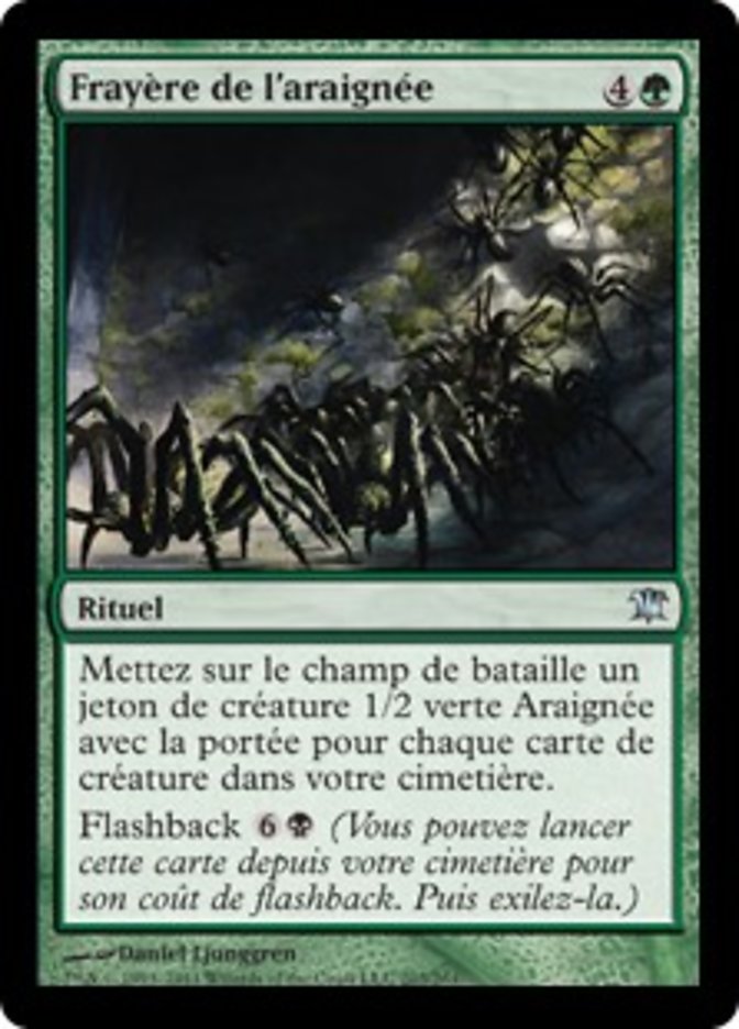 Frayère de l'araignée