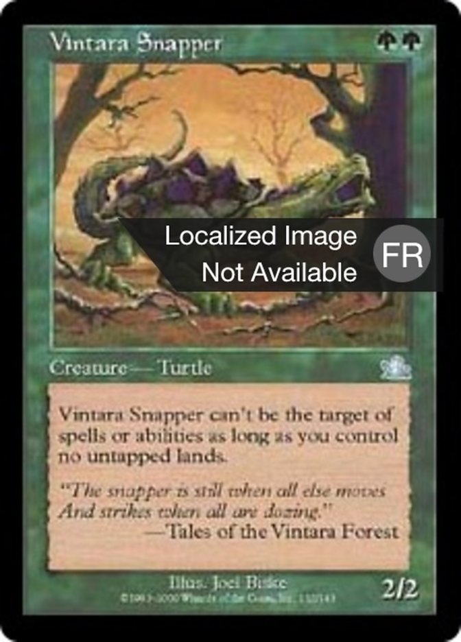 Tortue claqueuse de Vintara