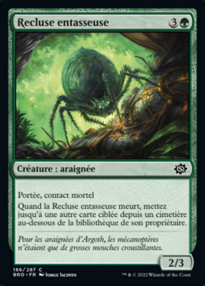 Recluse entasseuse