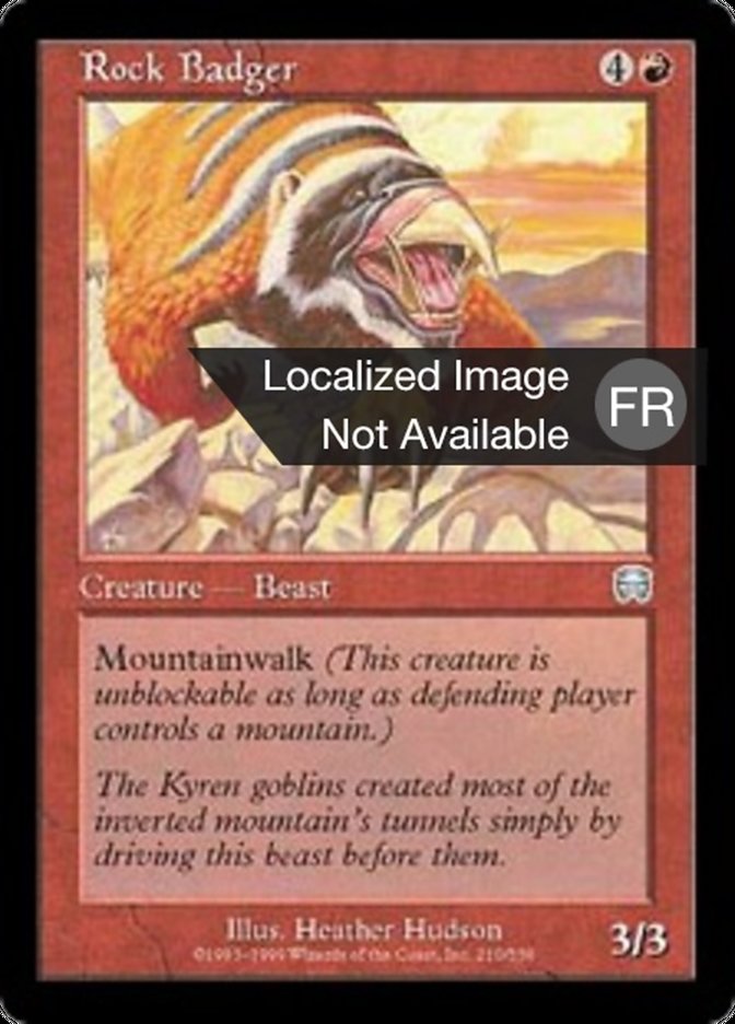 Blaireau des rochers