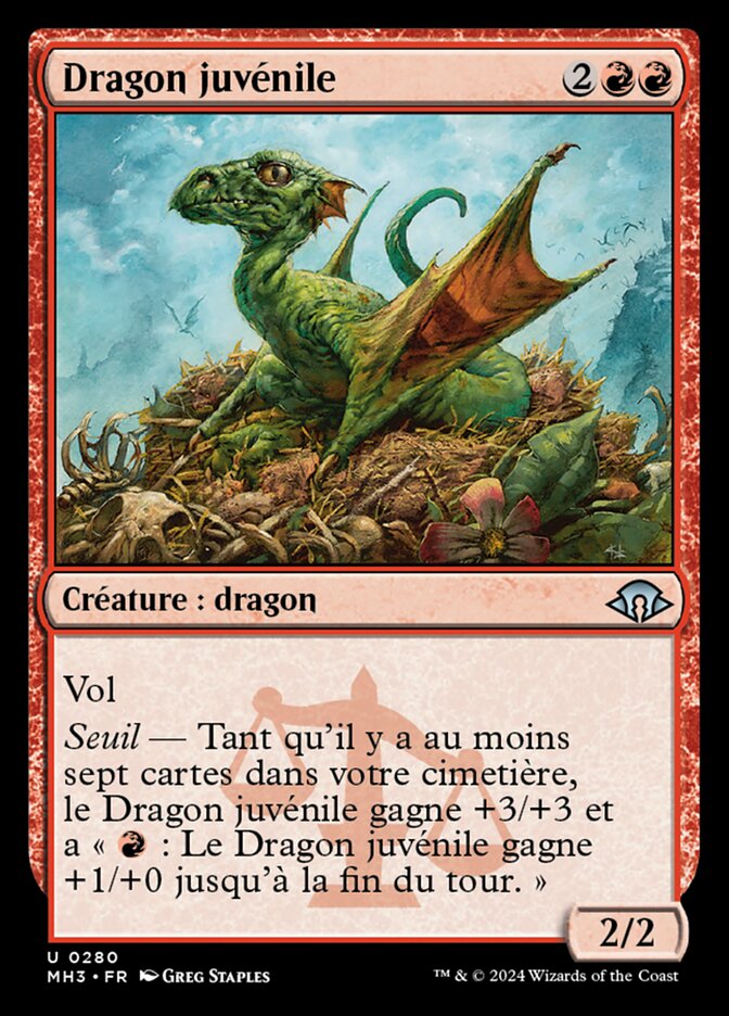 Dragon juvénile