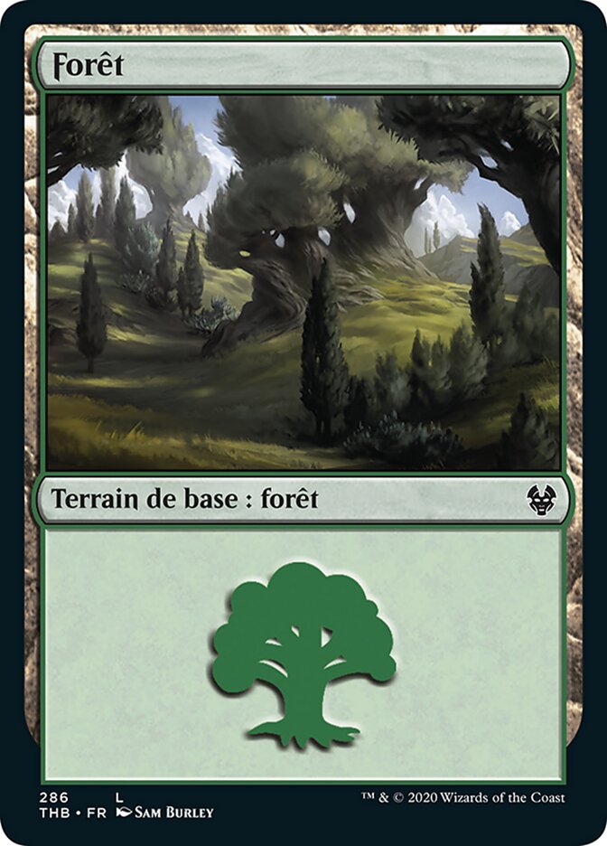 Forêt