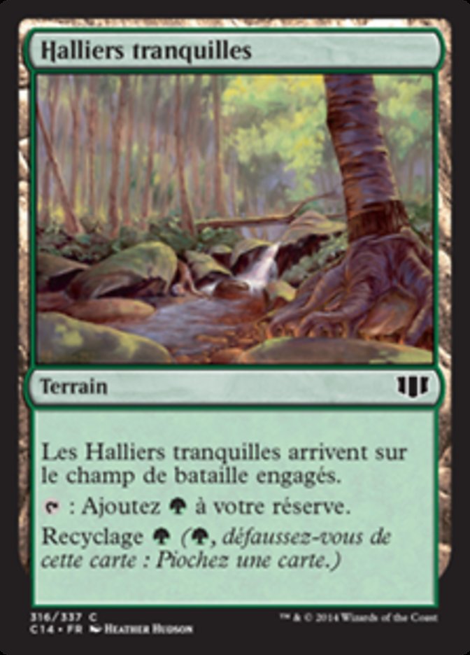 Halliers tranquilles