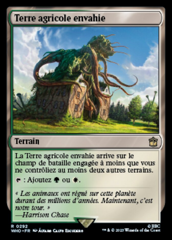 Terre agricole envahie