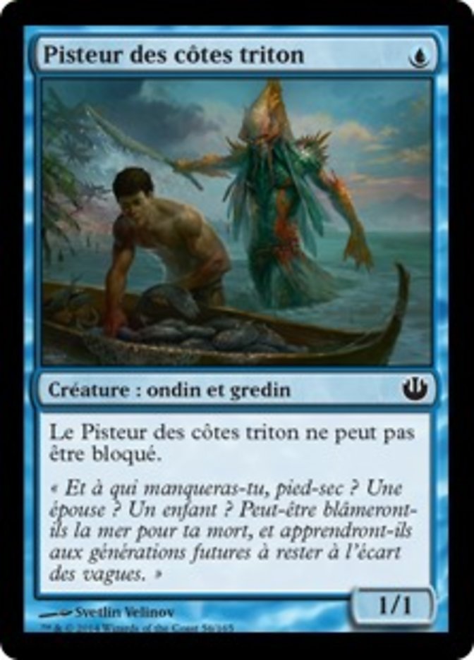 Pisteur des côtes triton