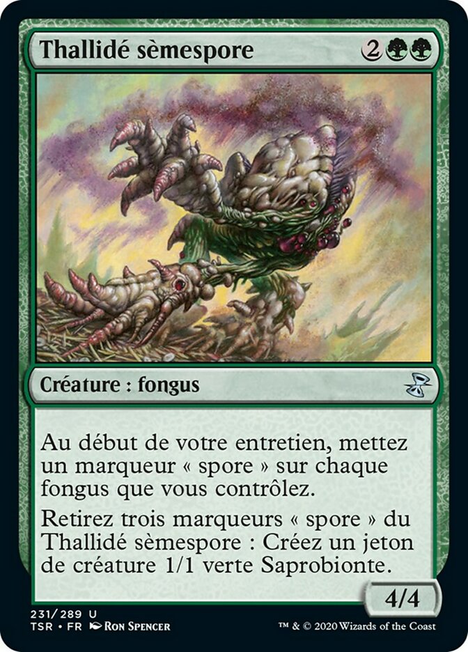Thallidé sèmespore