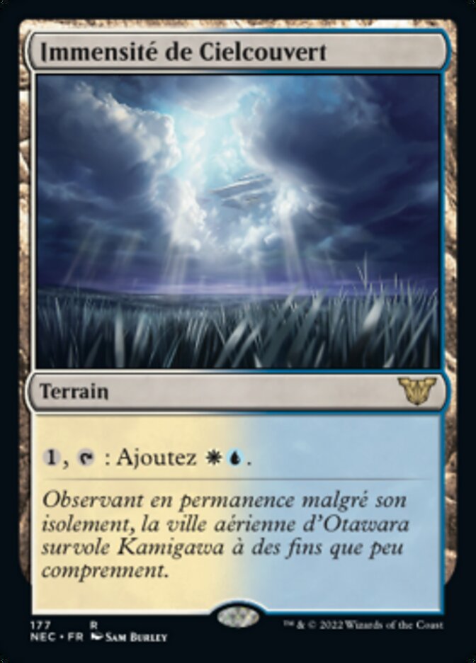 Immensité de Cielcouvert