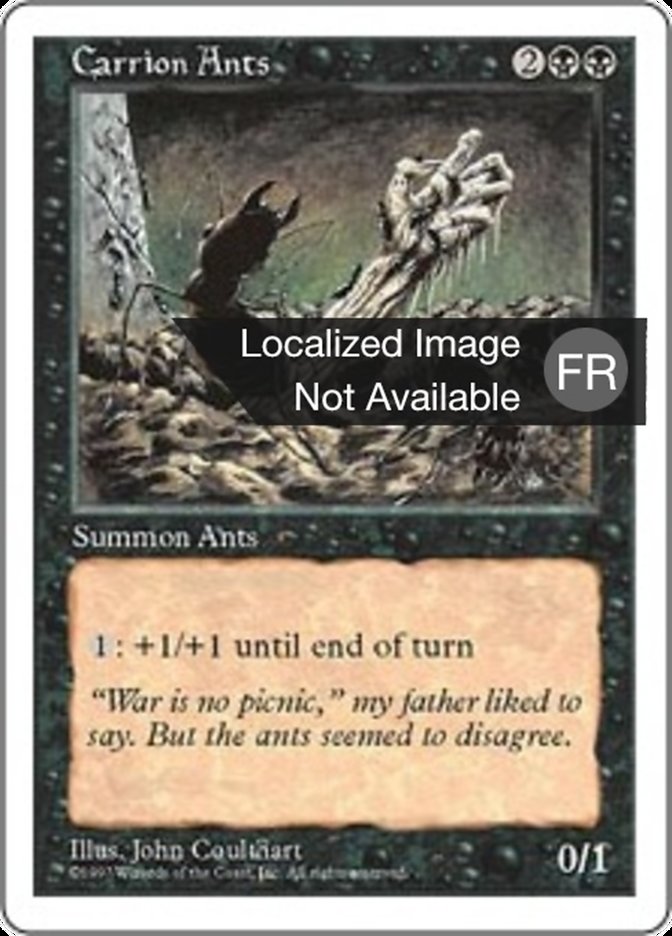 Fourmis charognardes