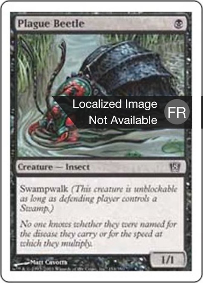 Scarabée de la Peste