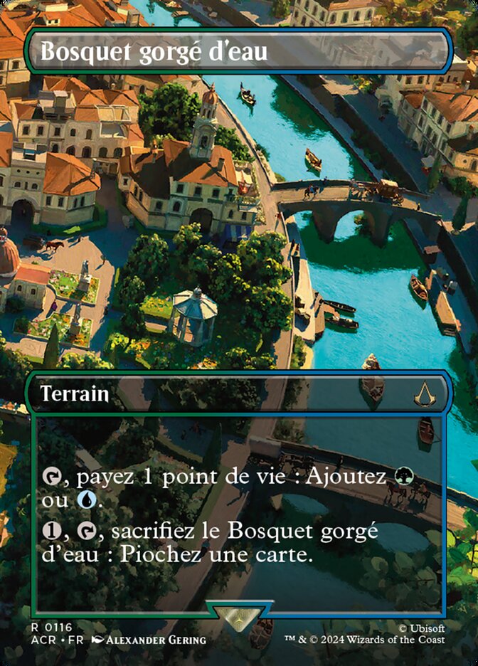 Bosquet gorgé d'eau