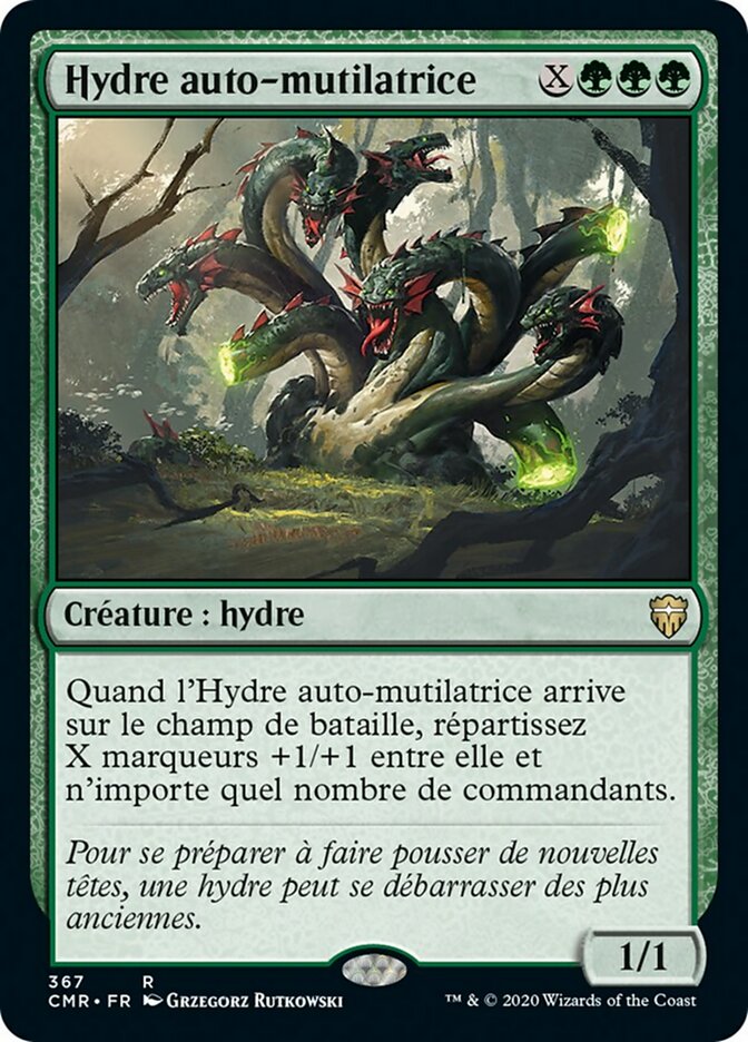 Hydre auto-mutilatrice