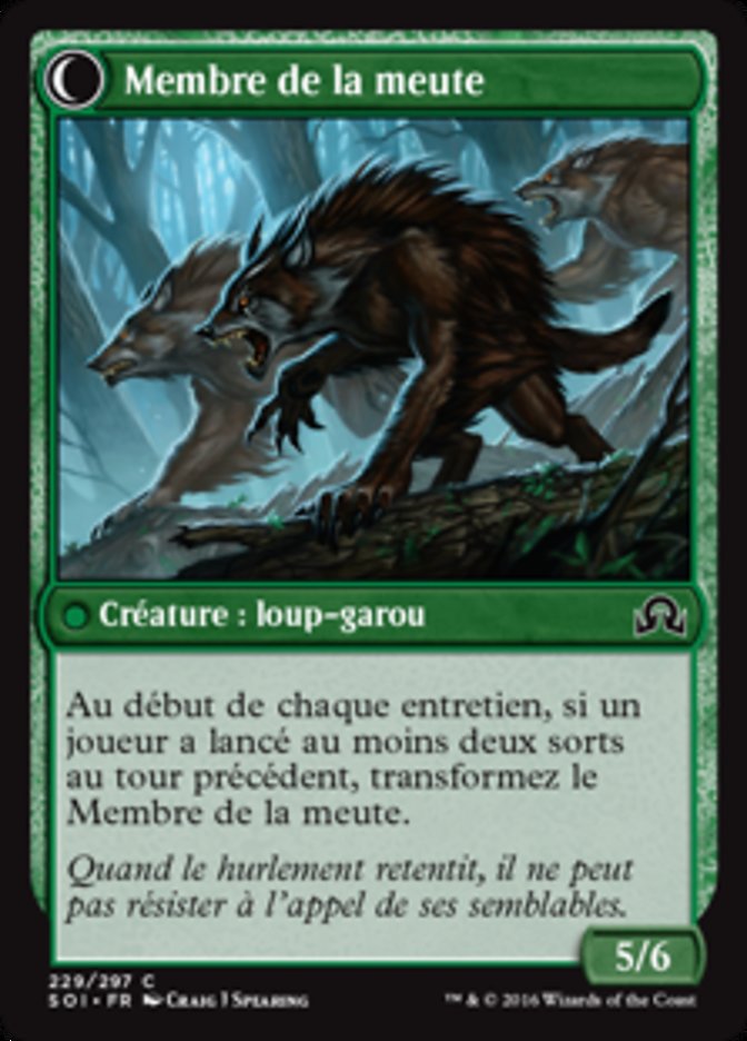 Chasseur solitaire