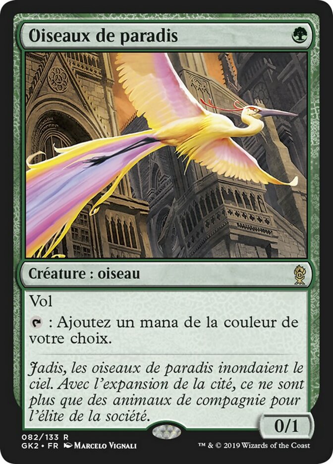 Oiseaux de paradis