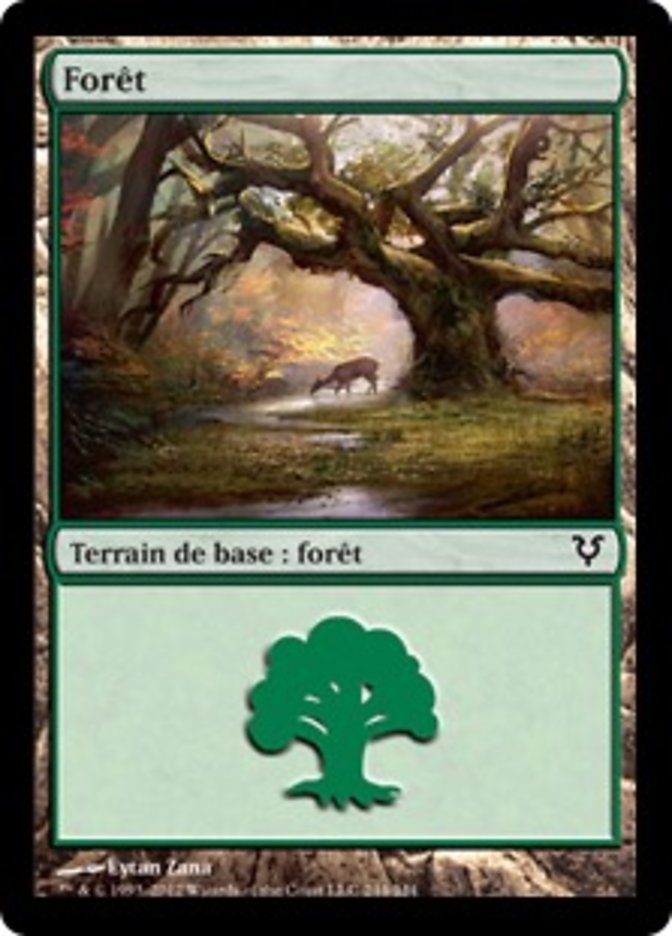 Forêt