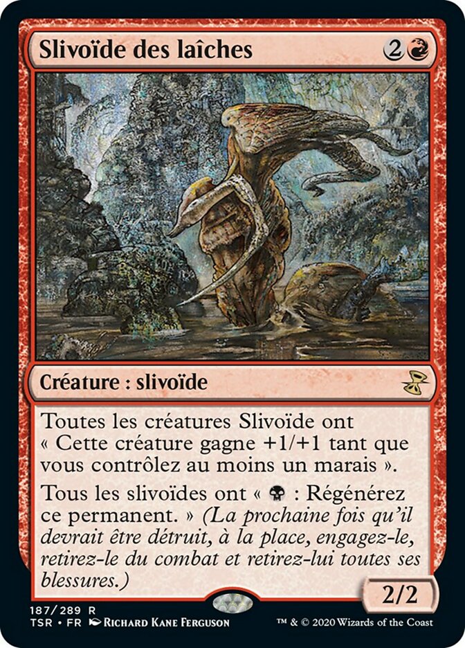 Slivoïde des laîches