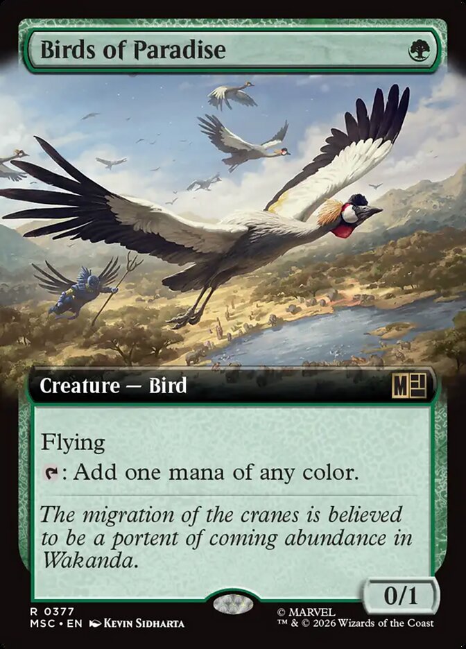 Birds of Paradise