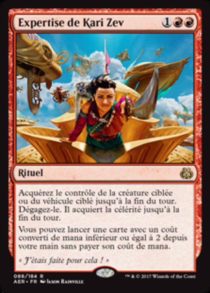 Expertise de Kari Zev