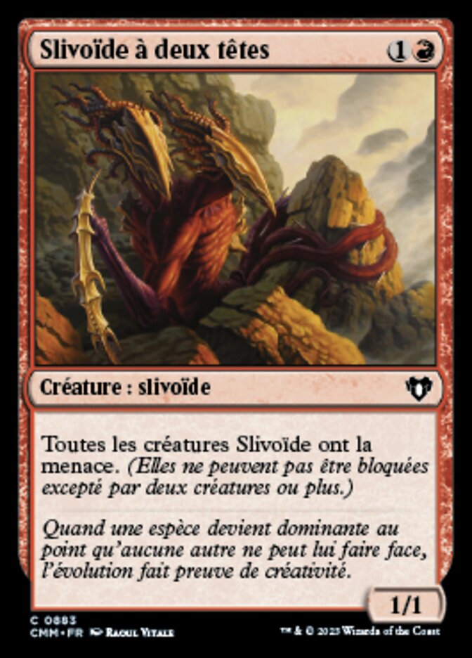 Slivoïde à deux têtes