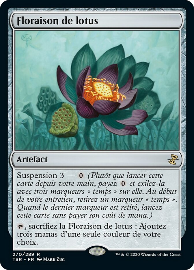 Floraison de lotus