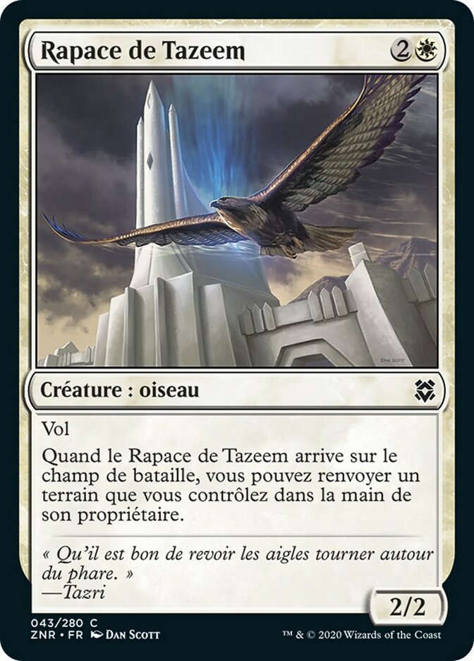 Rapace de Tazeem