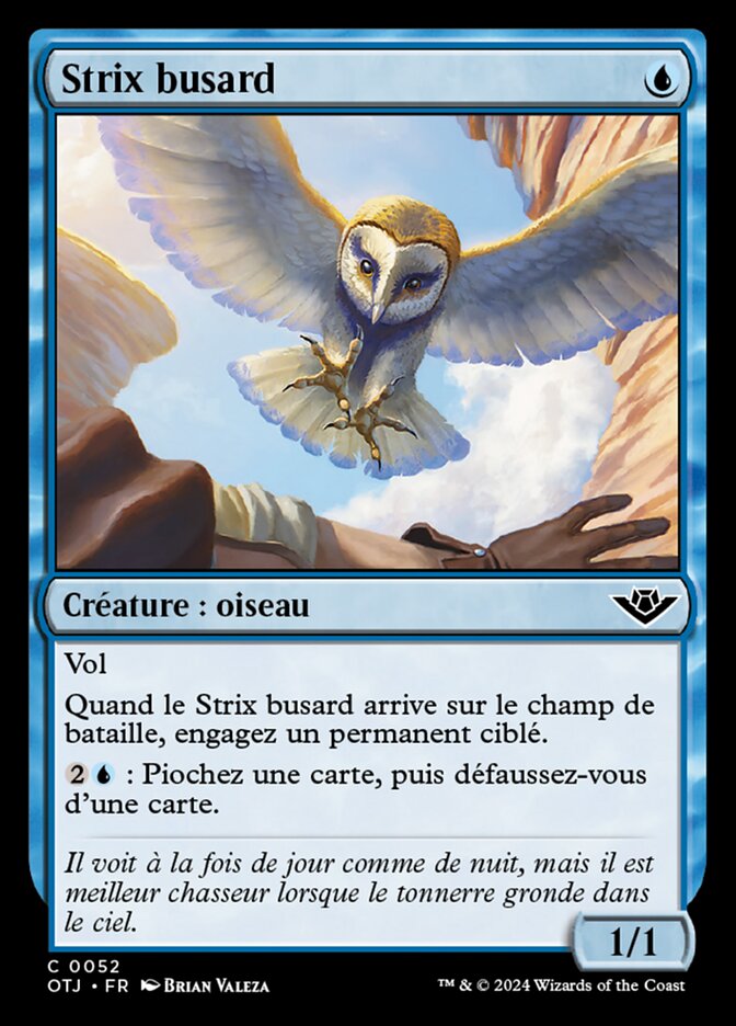 Strix busard