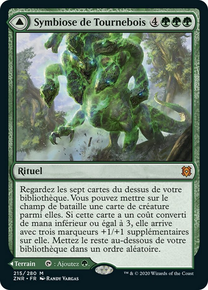 Symbiose de Tournebois