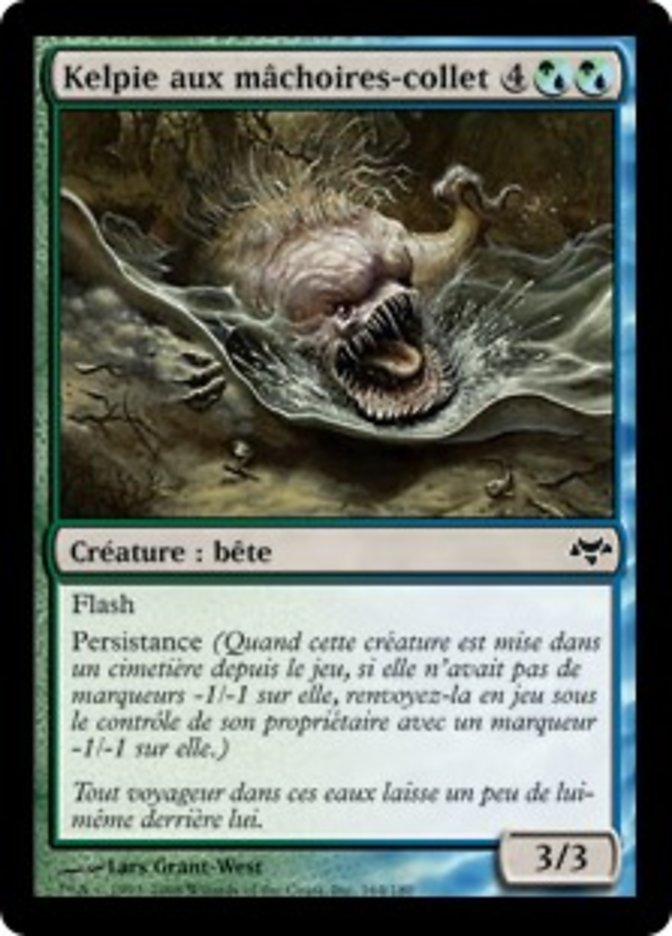 Kelpie aux mâchoires-collet