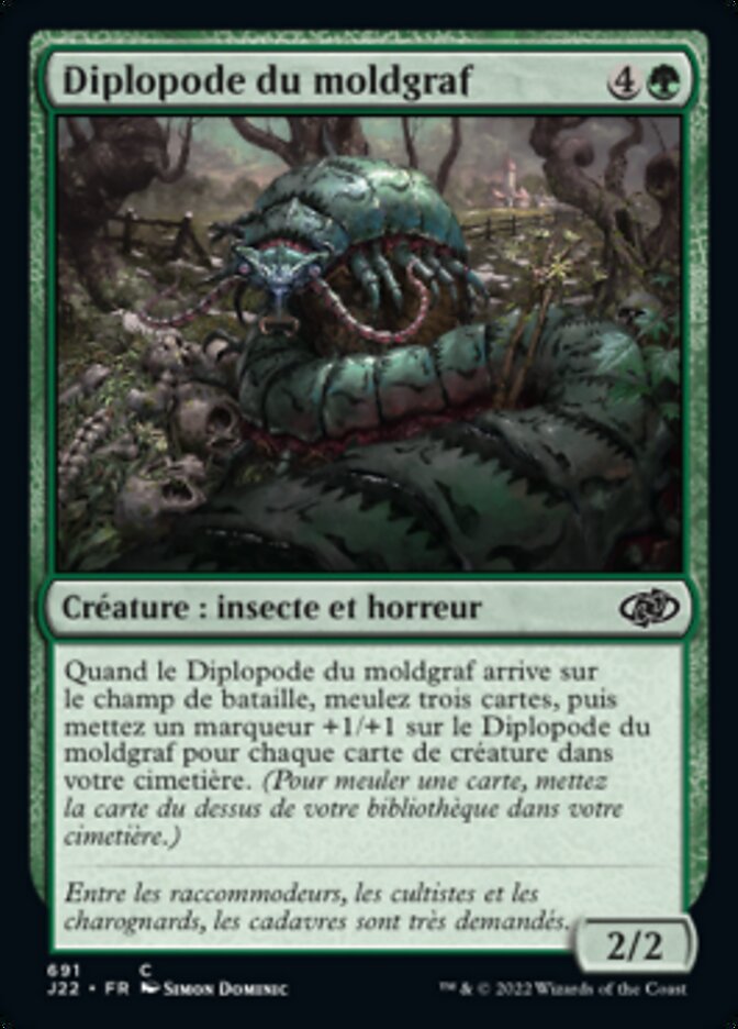 Diplopode du moldgraf