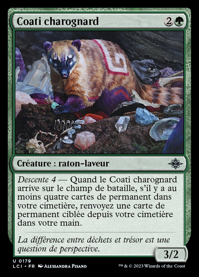 Coati charognard