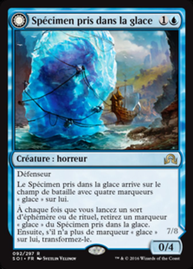 Spécimen pris dans la glace