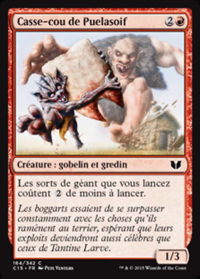 Casse-cou de Puelasoif