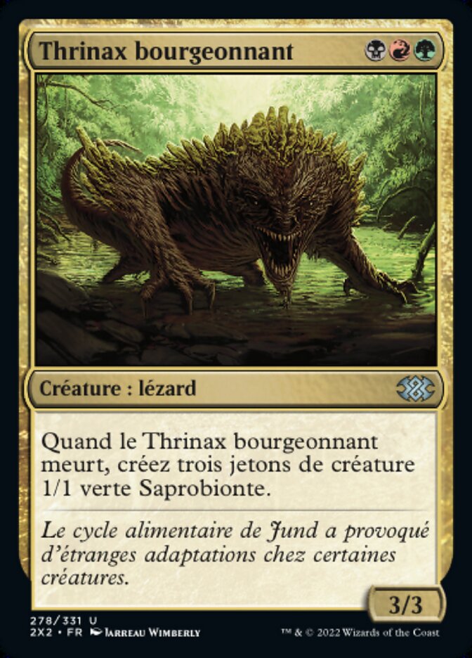 Thrinax bourgeonnant