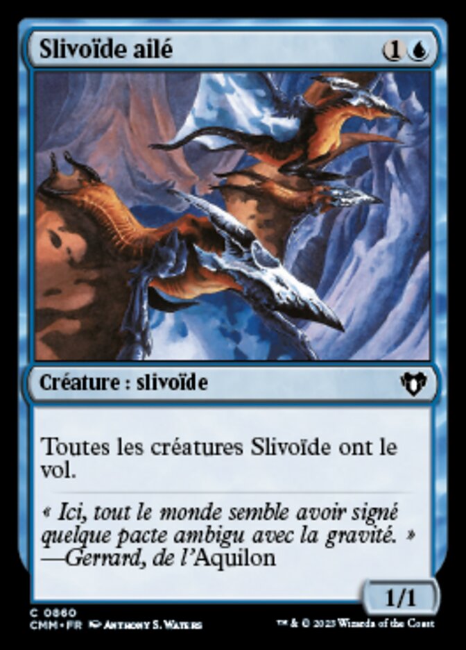 Slivoïde ailé
