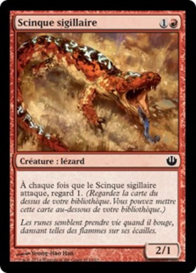 Scinque sigillaire