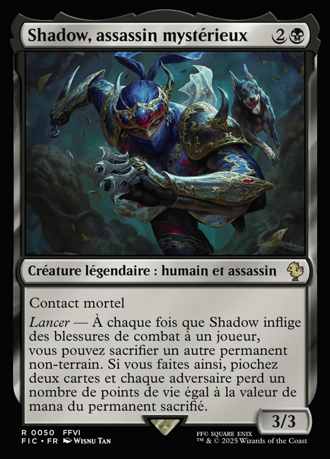 Shadow, assassin mystérieux
