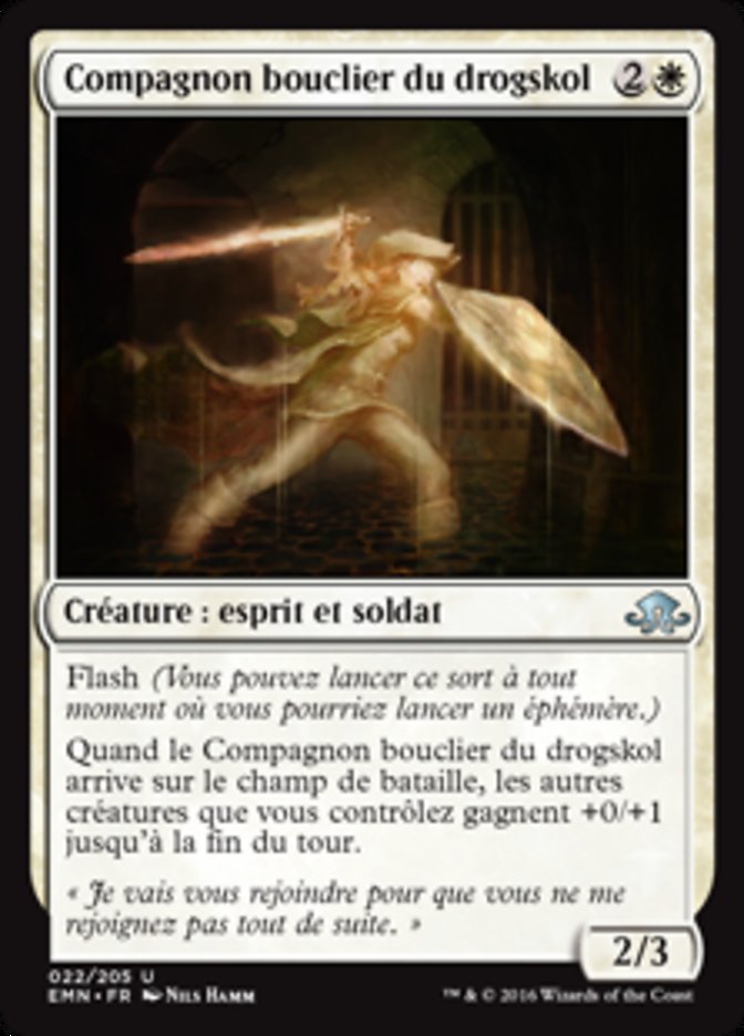 Compagnon bouclier du drogskol