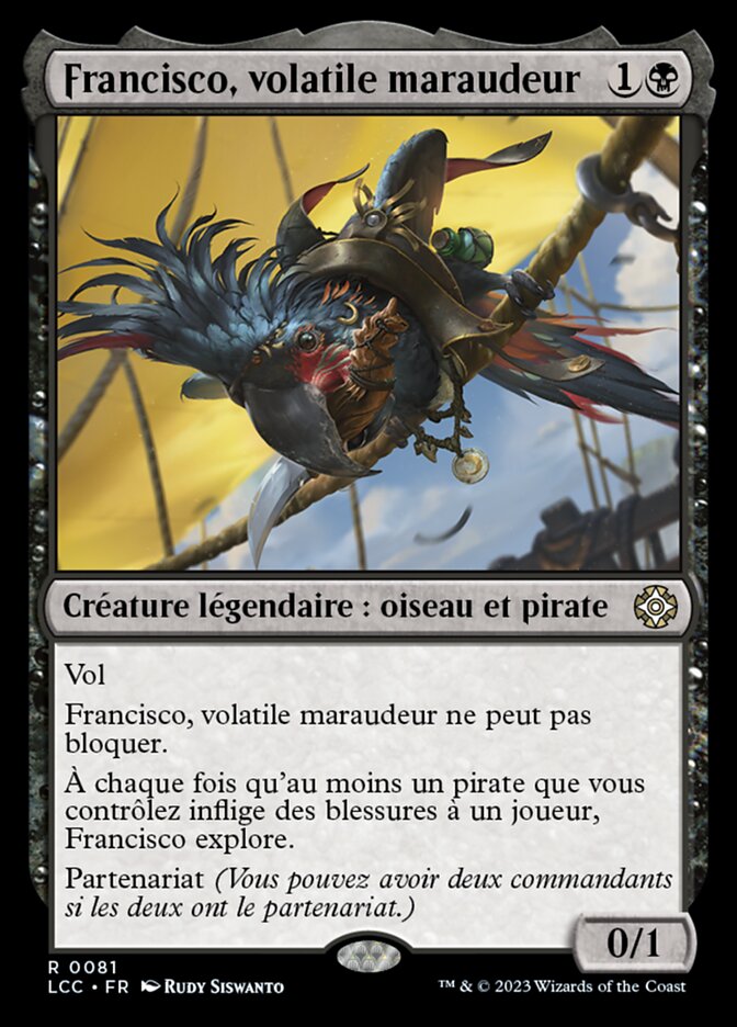 Francisco, volatile maraudeur