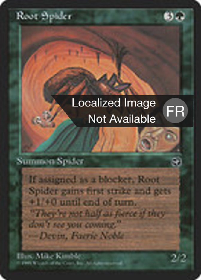 Araignée des souches