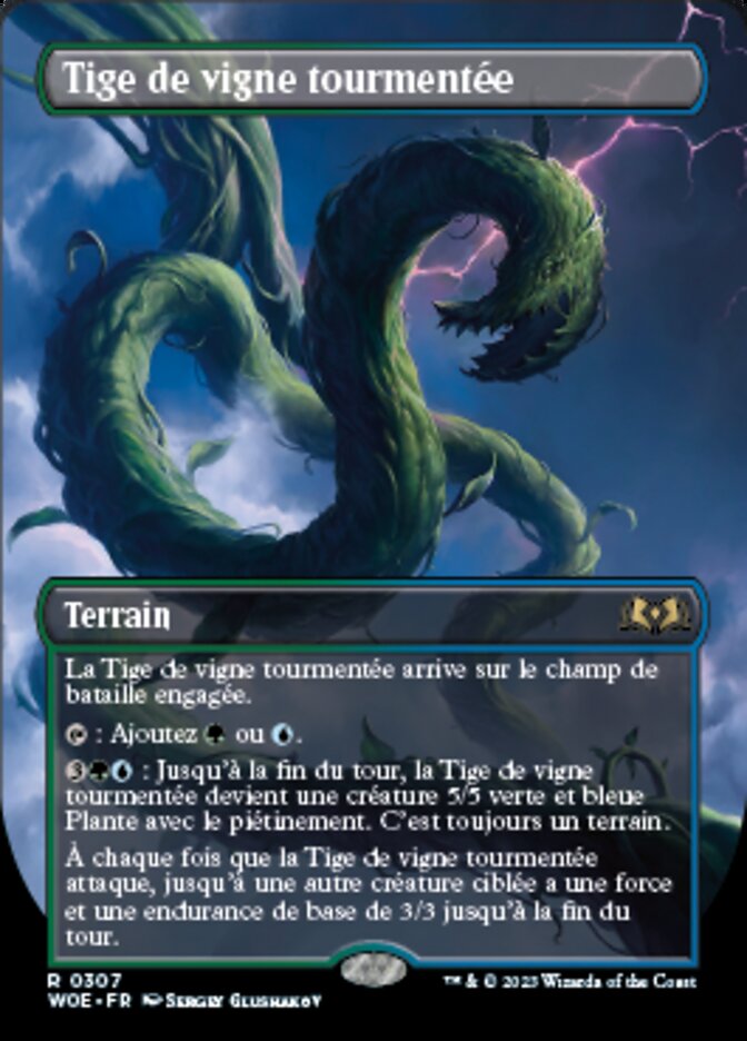 Tige de vigne tourmentée