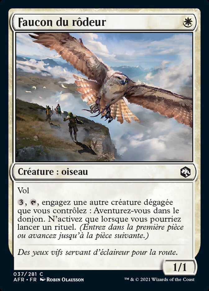 Faucon du rôdeur