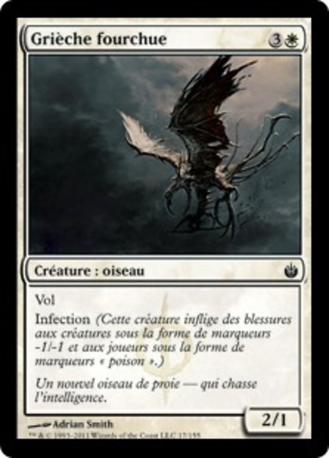 Grièche fourchue